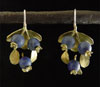 Link to Blueberry Earrings by Michael Michaud